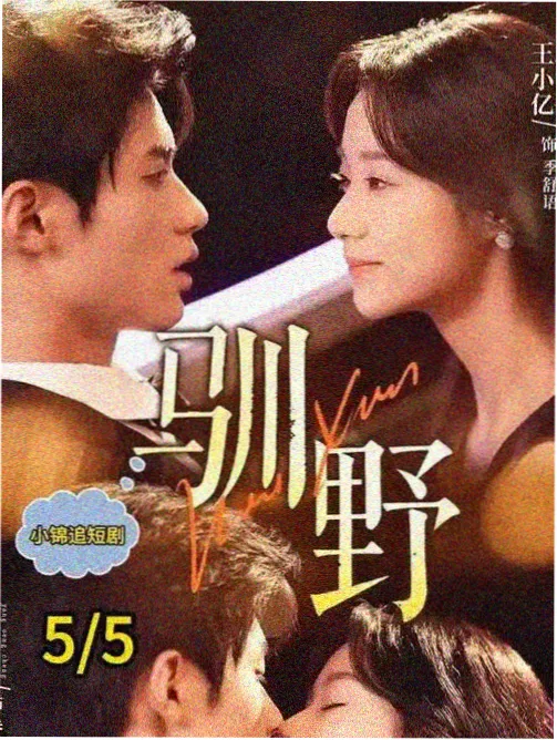 妻子的诱惑 韩剧伦理剧